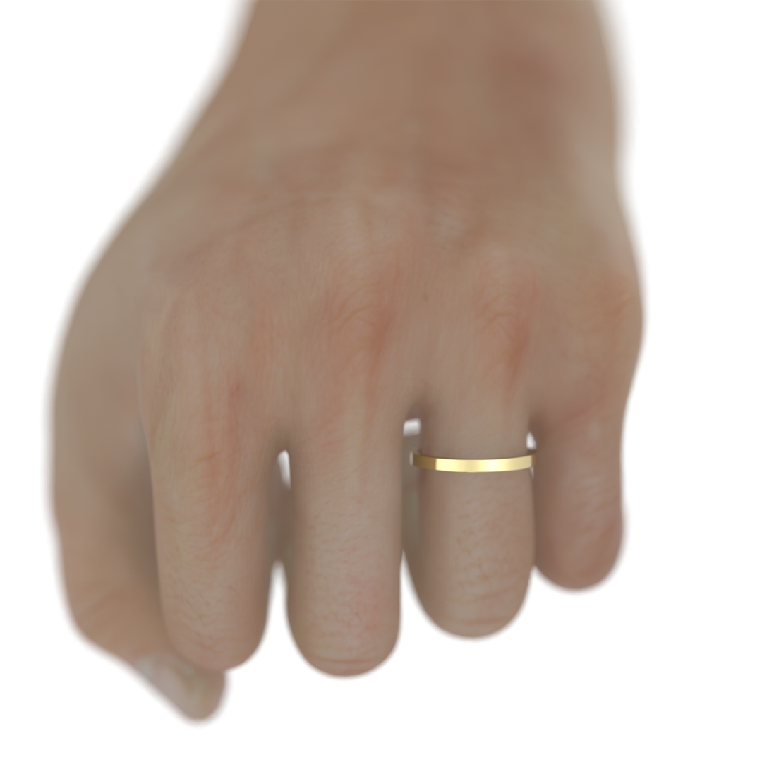 10K Yellow Gold High Polish Flat 2mm Wedding Band